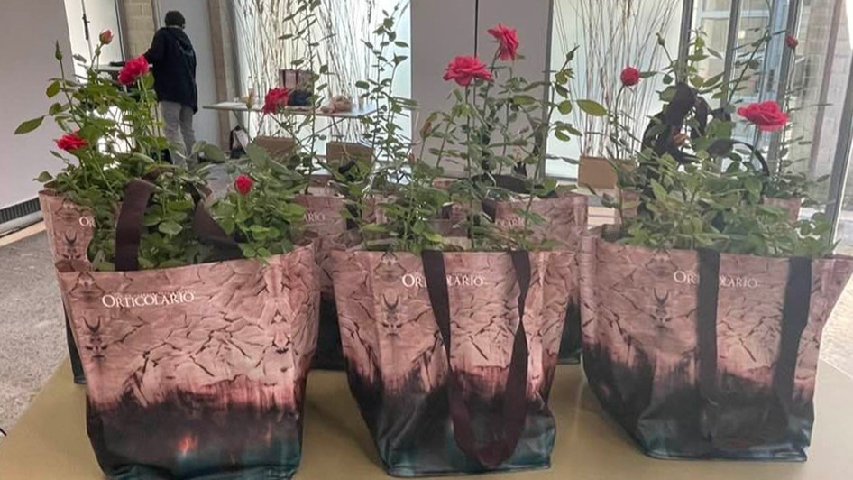 Imagen de WhatsApp 2023-09-30 a las 17.37.25_b196935f|Arturo participantes b|arturo rosa rosa|Gardenia-20230929-WA0093 copia 2|facsimile etichetta con simboli copia